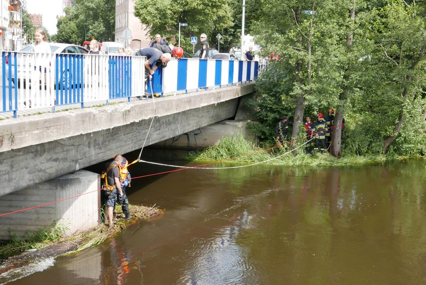 Pan Waldek wypadł z kajaka! Śmierć zajrzała mu w oczy...