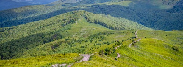 Na wakacje w Bieszczady. Park narodowy odnotował znaczny wzrost turystów