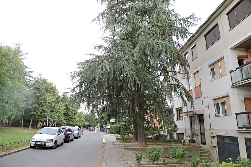 Ulica je smeštena u naselju Repište na Čukarici