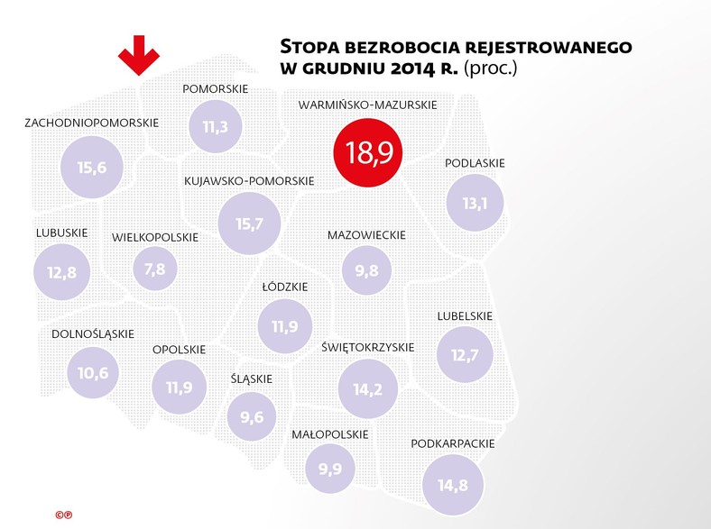 Stopa bezrobocia rejestrowanego w grudniu 2014 r.