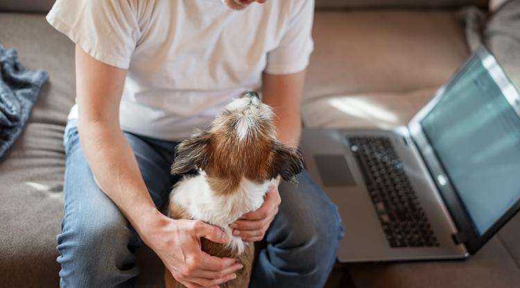 Mit tegyél, ha a kutyád nem hagy dolgozni? Fotó: Getty Images