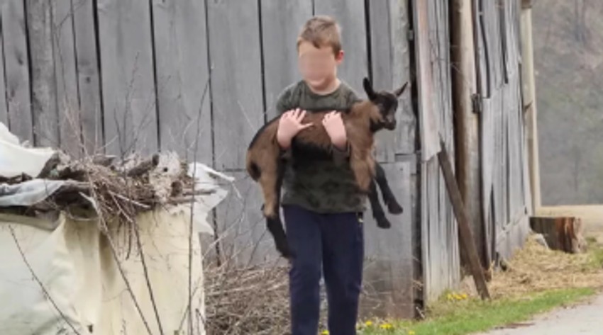 Branko Janković imanje