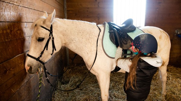 Ferie jeździeckie na Partynicach to możliwość poznania zwierząt i rozpoczęcia przygody z nauką jazdy konnej czy doskonalenia już posiadanych umiejętności.