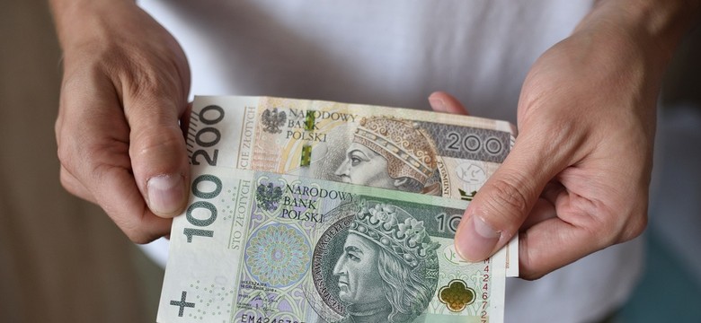 Do 20 tys. zł dofinansowania w programie grantowym. Rusza nabór wniosków