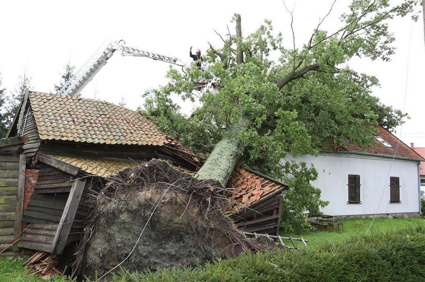 100-letni dąb zwalił się na dom państwa Szczyglak