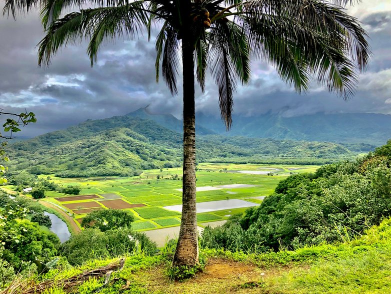 Pierwsze chwile na wyspie Kaua'i