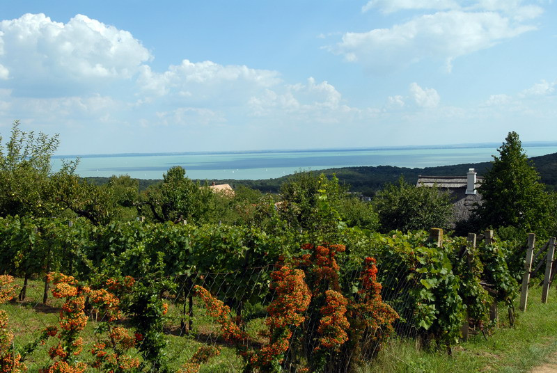 Balaton - Jezioro prawie jak morze