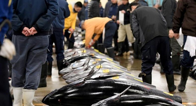 A delay in relocating the famed Tsukiji market, ordered by Tokyo governor Yuriko Koike over concerns about toxic pollution at the new site, threatens the timely construction of a key road needed for the 2020 Olympics