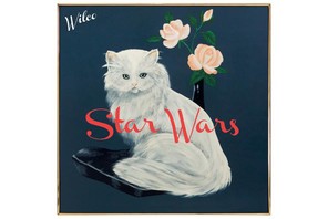 wilco star wars