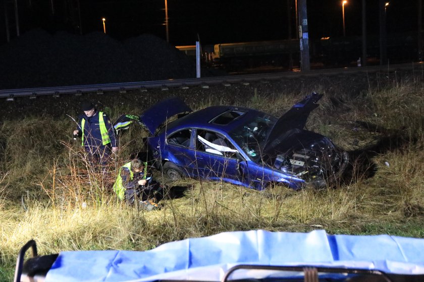 Świnoujście: Jechali do pracy, przed auto wyskoczył dzik. 1 osoba nie żyje