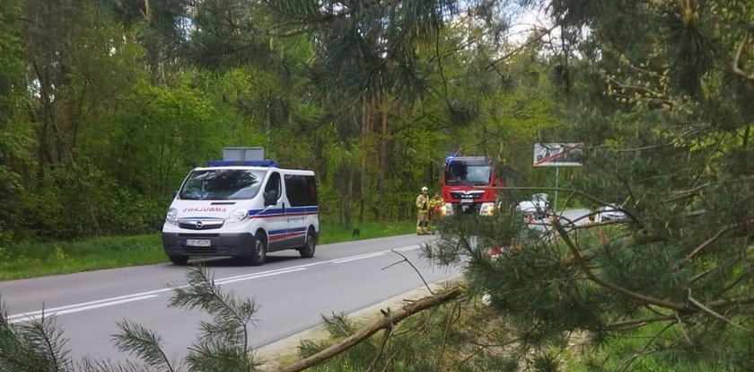 Czarna sobota na Lubelszczyźnie. Tragedia młodych ludzi