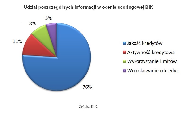 Udział poszczególnych informacji w ocenie scoringowej BIK