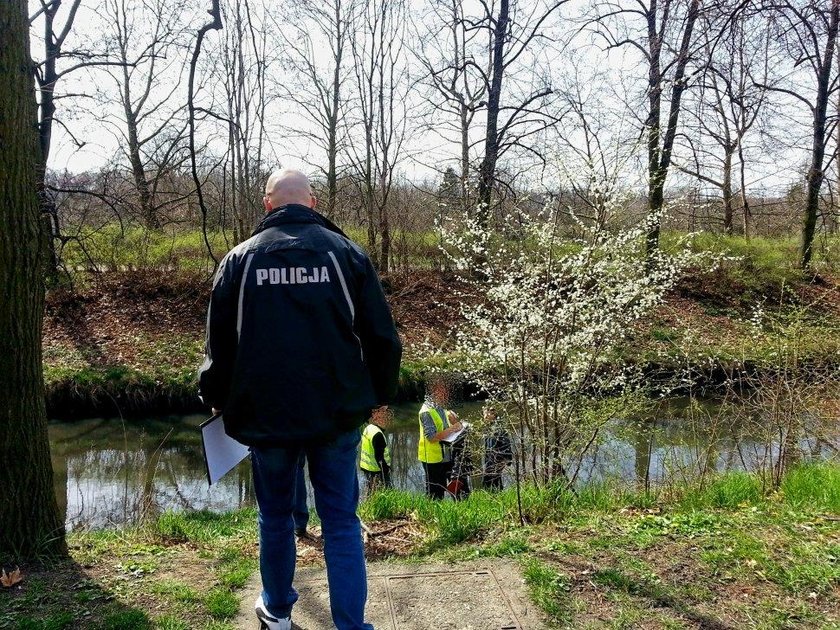 Głodził, zabił, wcisnął do walizki. Makabryczna zbrodnia