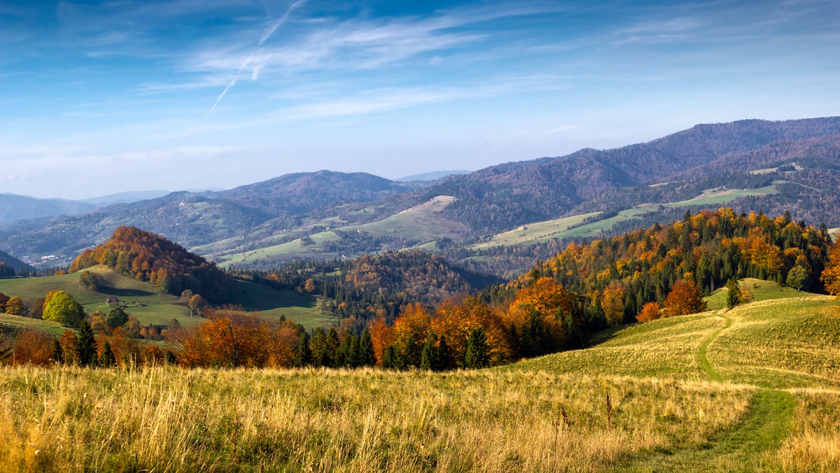 W Bieszczadach i w Beskidzie Niskim są bardzo dobre warunki do uprawiania turystyki pieszej i rowerowej. Ruch turystyczny jest niewielki. Po południu mogą pojawić się burze – powiedział ratownik dyżurny bieszczadzkiej grupy GOPR Zdzisław Dębicki.