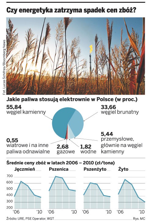 Czy energetyka zatrzyma spadek cen zbóż?