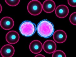 Kolejny krok w leczeniu szpiczaka? Takiego badania leków na raka jeszcze w Polsce nie było