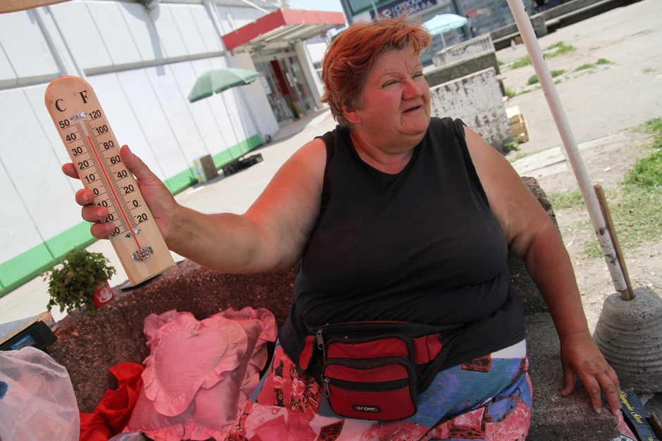 A voće treba da ostane sveže: Ljiljana Trajetović