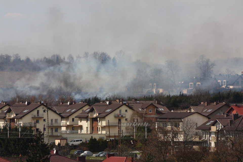 Pożar łąk w krakowskich Bronowicach, Fot. Dawid Hubrich/Daj znać!