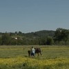 Farma magaraca