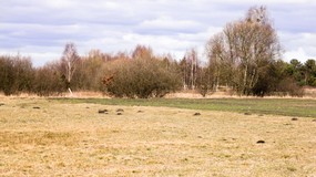 Europa na progu suszy. Najnowsze dane pokazują, jak gwałtownie tracimy wodę. Polska zagrożona