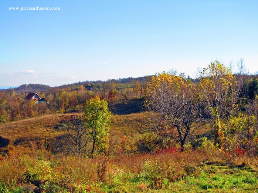 Selo Valjevska Kamenica, imanje Organela