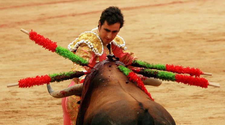 A koronavírus-járvány miatt elmarad a San Fermín-i bikaviadal / Fotó: MTI/EPA/Jim Hollander