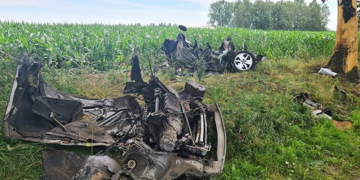 44-latek roztrzaskał się o drzewo w Jastrzębiu Górnym.