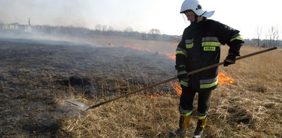 Płoną łąki w całej Małopolsce