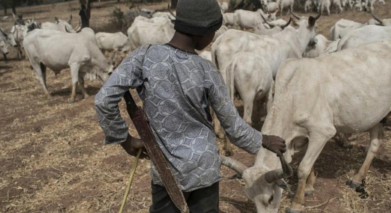 There have been longstanding tensions between herdsmen and farmers in parts of Nigeria