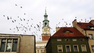 Urząd Miasta rozdał 1000 flag pod Ratuszem