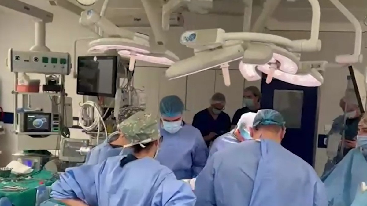 Transplantacija