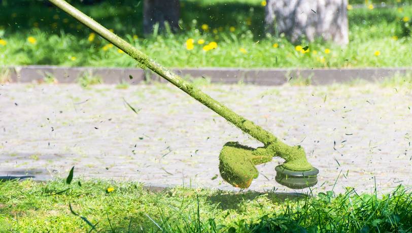 Gartenarbeit: Die besten Rasentrimmer mit Akku für den Garten 
