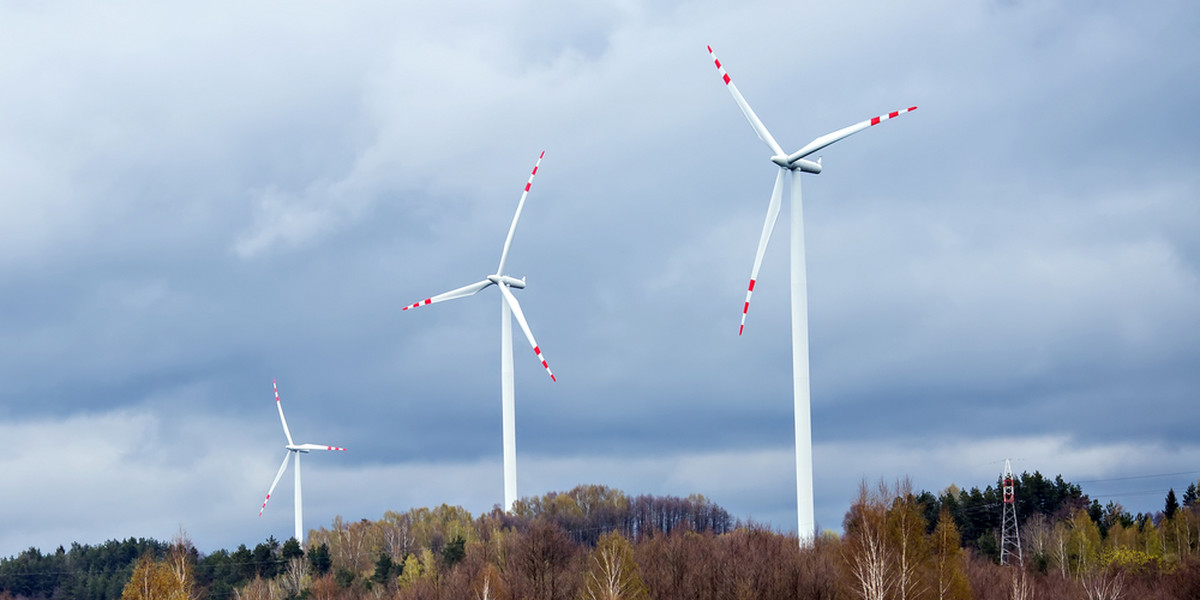 Limity cen uderzą w zyski wytówrców prądu z wiatru