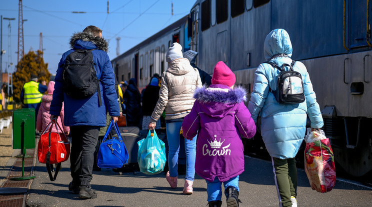 Több száz menekültnek segít a BDPST Group /Illusztráció: MTI/Czeglédi Zsolt