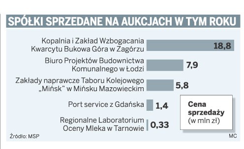 Spółki sprzedane na aukcjach w tym roku