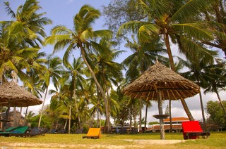 Egzotyka nie tylko w zimie: Gdzie warto pojechać latem?