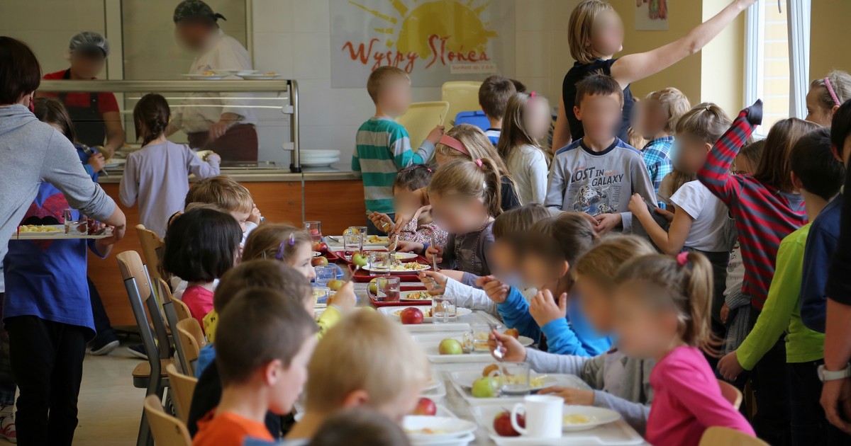 Ile kosztuje obiad w szkole i przedszkolu? Tyle wołają teraz firmy cateringowe