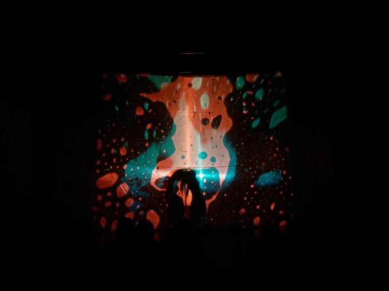 Iz performansa u "Cvijeti Zuzorić"