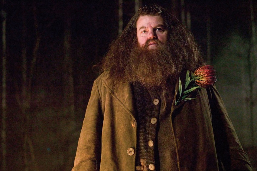 Hagrid hitno prebačen u bolnicu