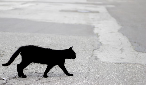 Sujeverja su nastala kako bi našem mozgu dala osećaj veće kontrole