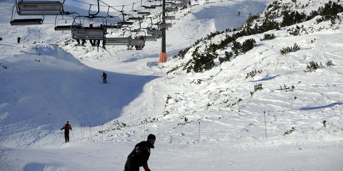 Zakopane. Narciarze przerażeni. Po stoku biegał niedźwiedź