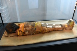 niezwykły pacjent radiologów z lublina. ma dwa tysiące lat