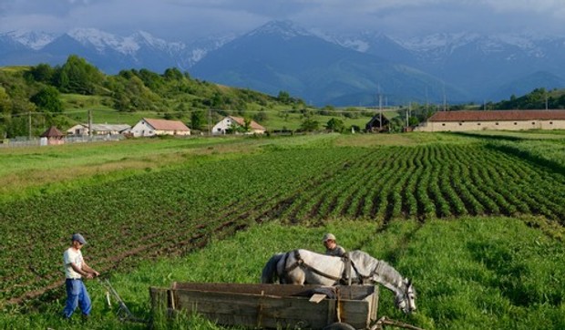 Zemljoradnik na njivi - ilustrcija