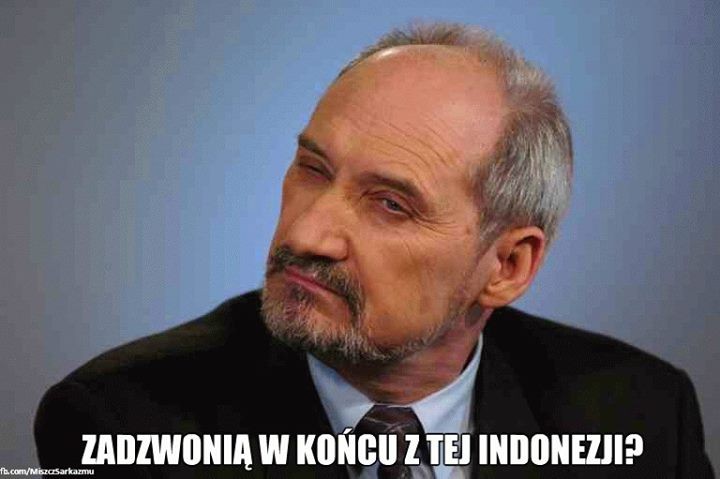 mem / Miszcz sarkazmu