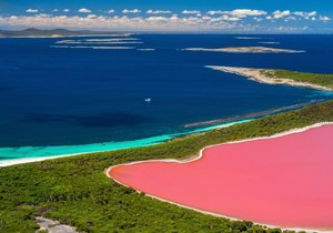Pink jezero