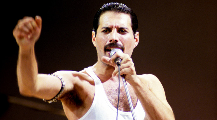 Kiderült, mi volt Freddie Mercury utolsó kívánsága /Fotó: Northfoto