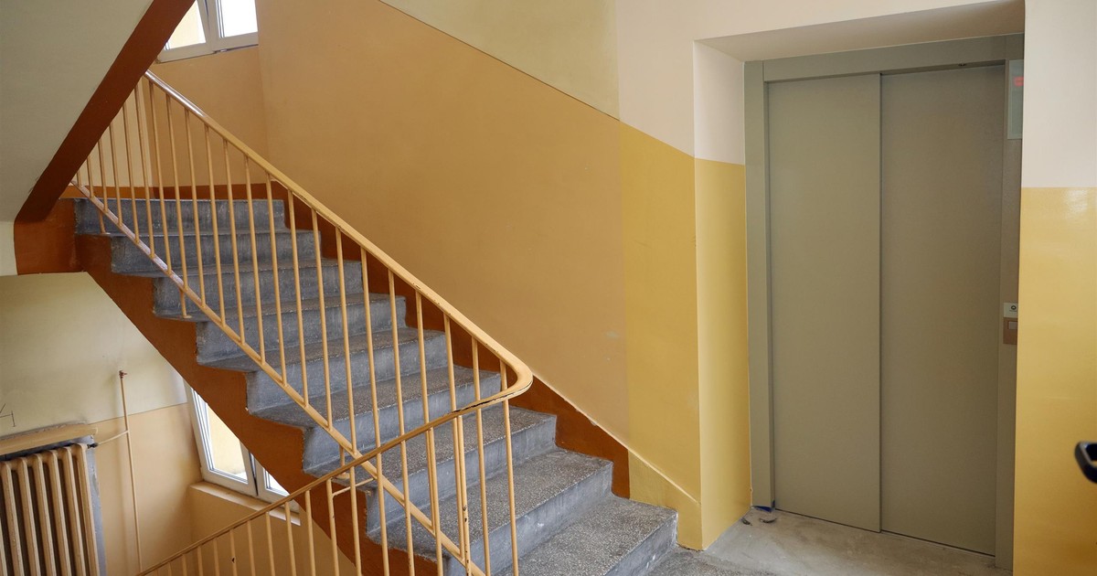 Winda zaczęła dusić psa w bloku, w Poznaniu. Nagle pojawił się sąsiad