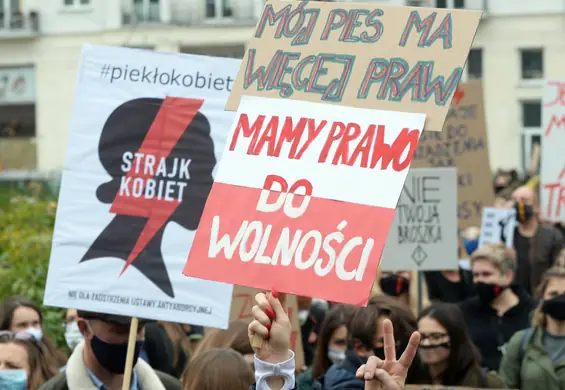 Ordo Iuris będzie dążyć do zakazu rozwodów? "Są obciążeniem dla państwa"