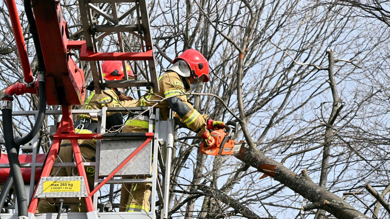 Załamanie pogody i silny wiatr. Strażacy otrzymali ponad 1 tys. 400 zgłoszeń