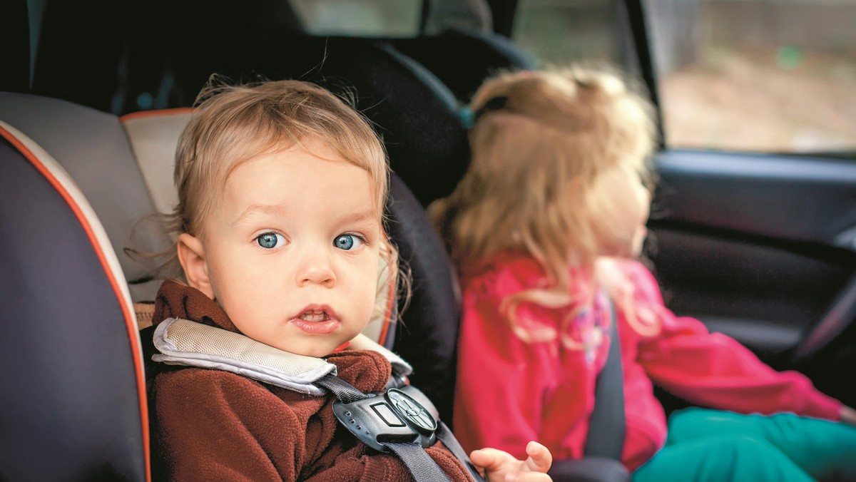 small children in the car